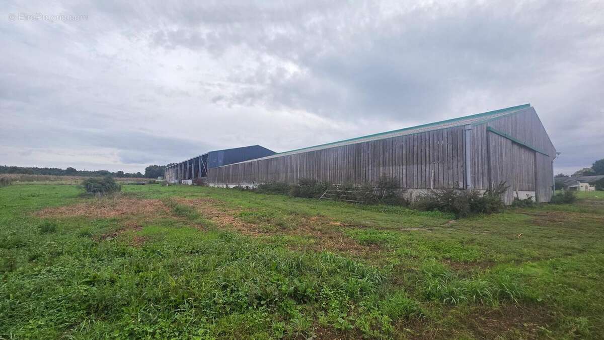 Photo 4 - Terrain à BAUGE