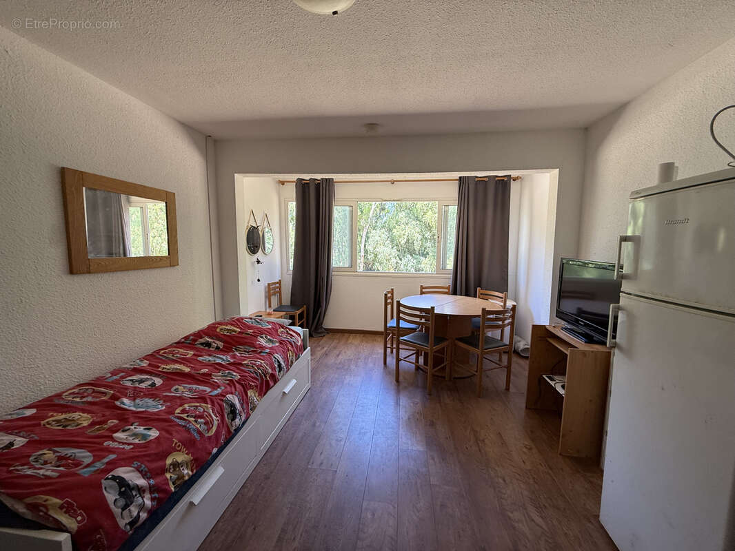 Studio pinede de  calvi - photo 2