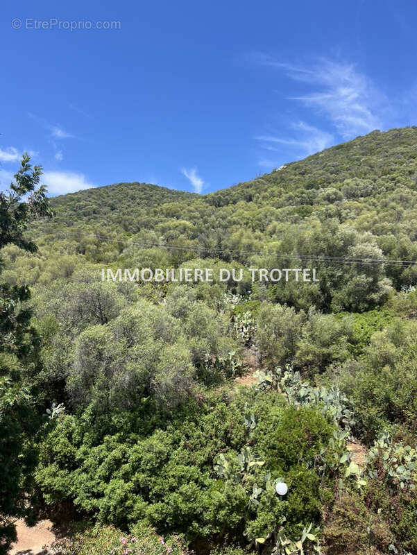 Appartement à AJACCIO