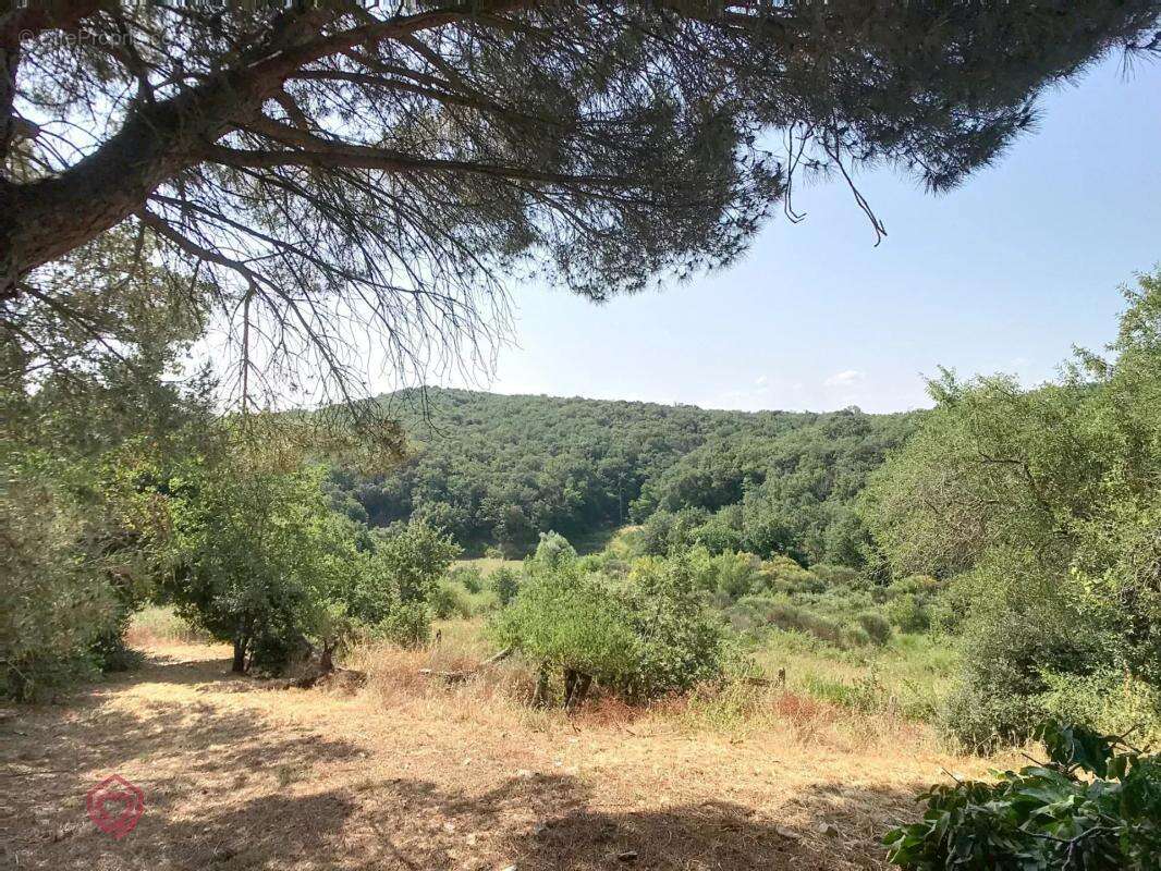 Maison à BELVEZE-DU-RAZES