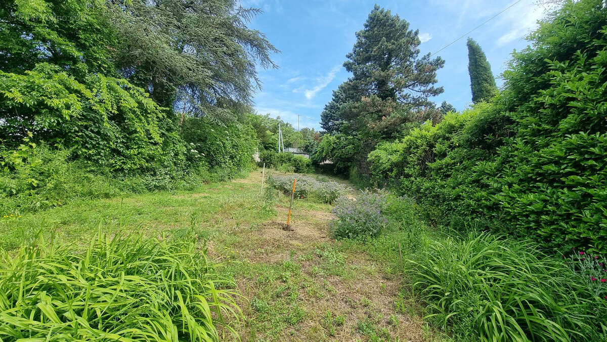 Maison à RILLIEUX-LA-PAPE