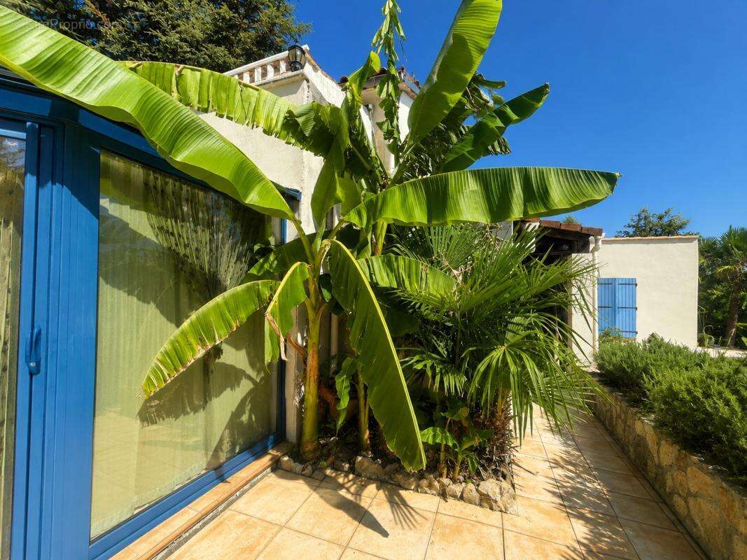 Maison 165 m² à La Vernarede  - photo 14