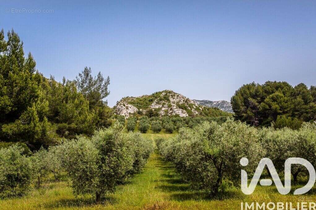 Photo 2 - Terrain à AUREILLE