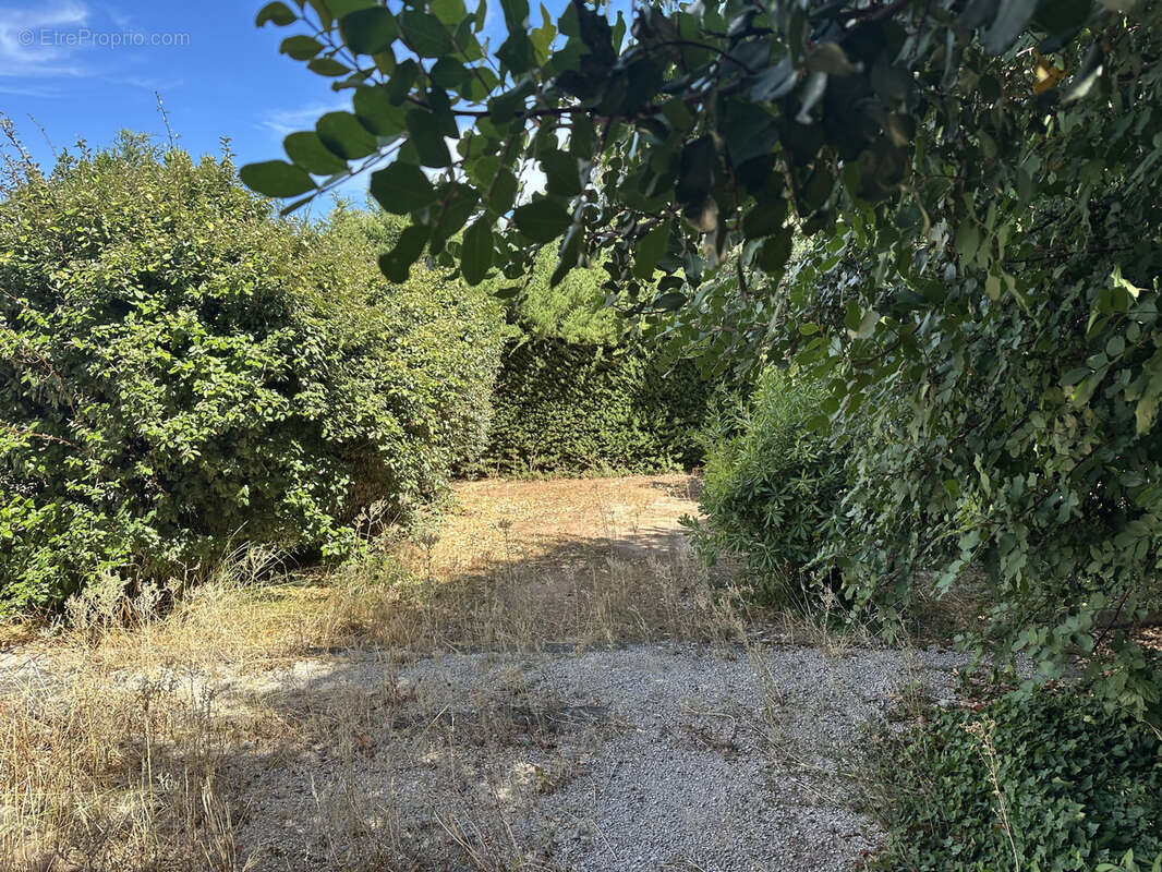 Terrain à SOLLIES-PONT