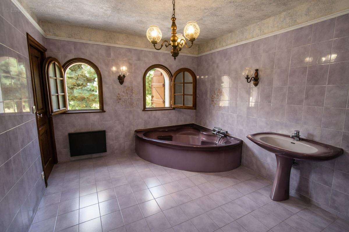 Maison 295 m² à Saint-Victor  - photo 5