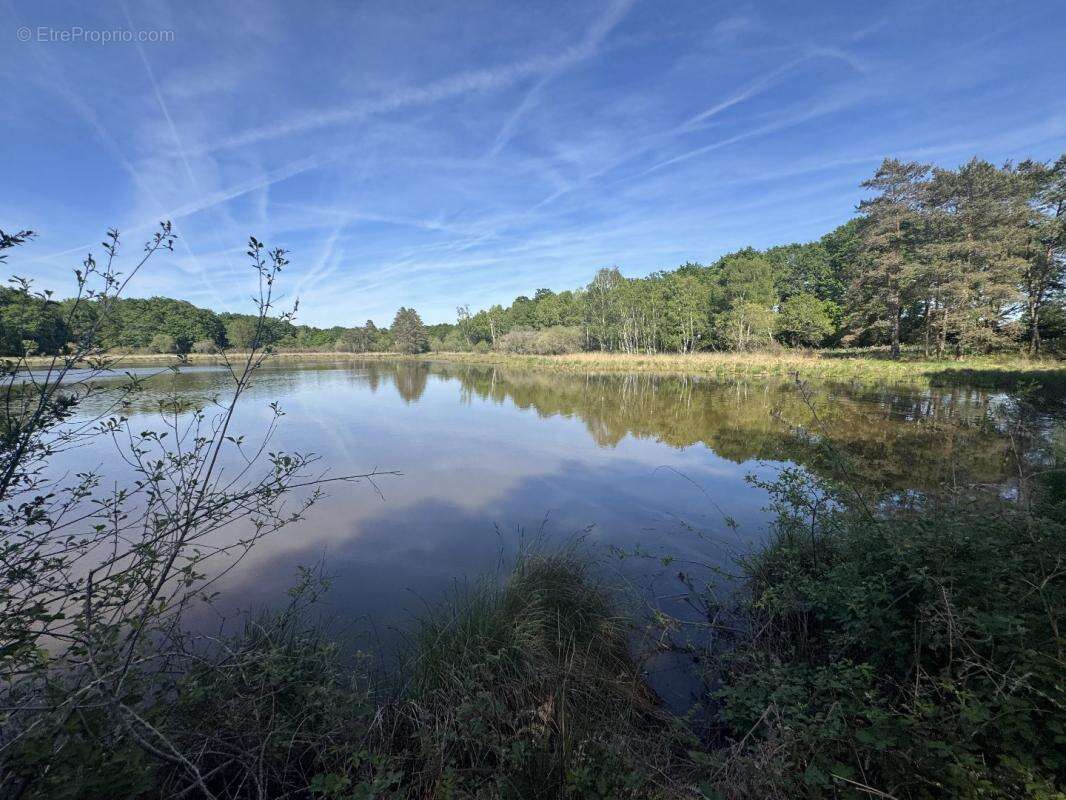 Terrain à PRISSAC