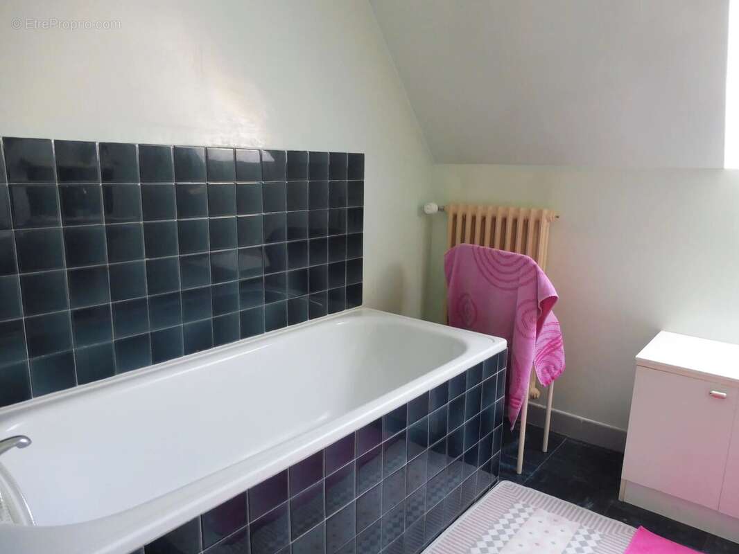 Maison 138 m² à Landrevarzec  - photo 9