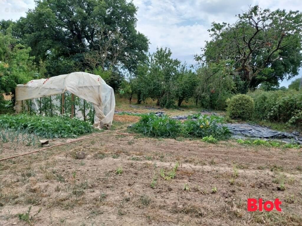 Maison 78 m² à Rouge  - photo 2