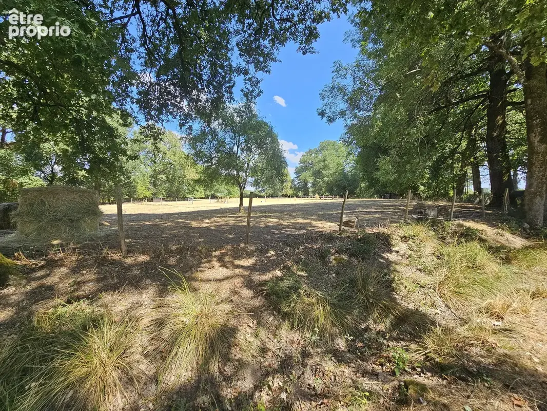Propriété de caractère avec plus d'un hectare de terrain – Une opportunité de style de vie rare - photo 2