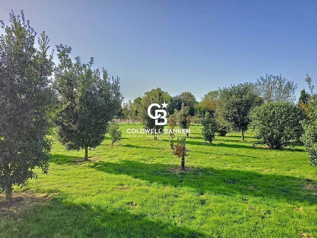 Maison à PUYRAVAULT