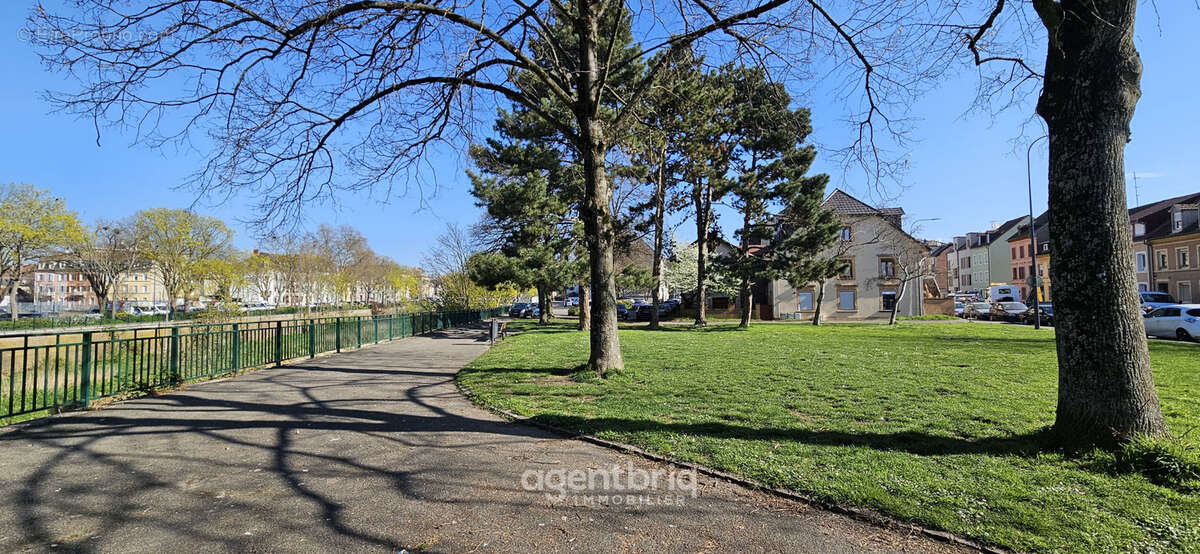 Ensemble immobilier (lot de 5 appartements sur 8) à Mulhouse - photo 2