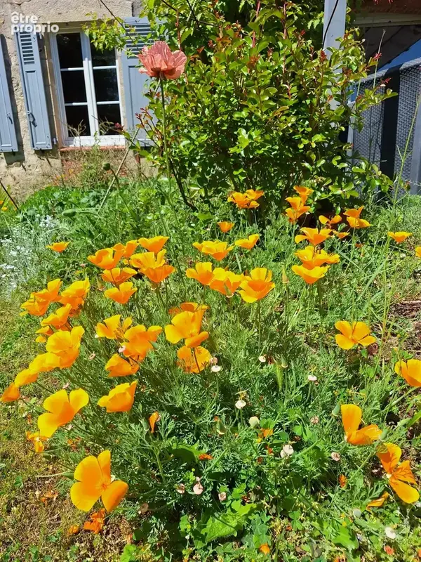 MONTBERT Maison pleine de charme sur très joli jardin - photo 8
