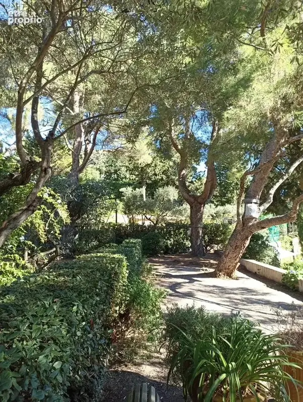 Maison vue mer saint clair - photo 15