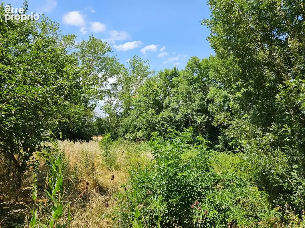 Partie de domaine sur 1.3 ha à Pennautier - photo 12