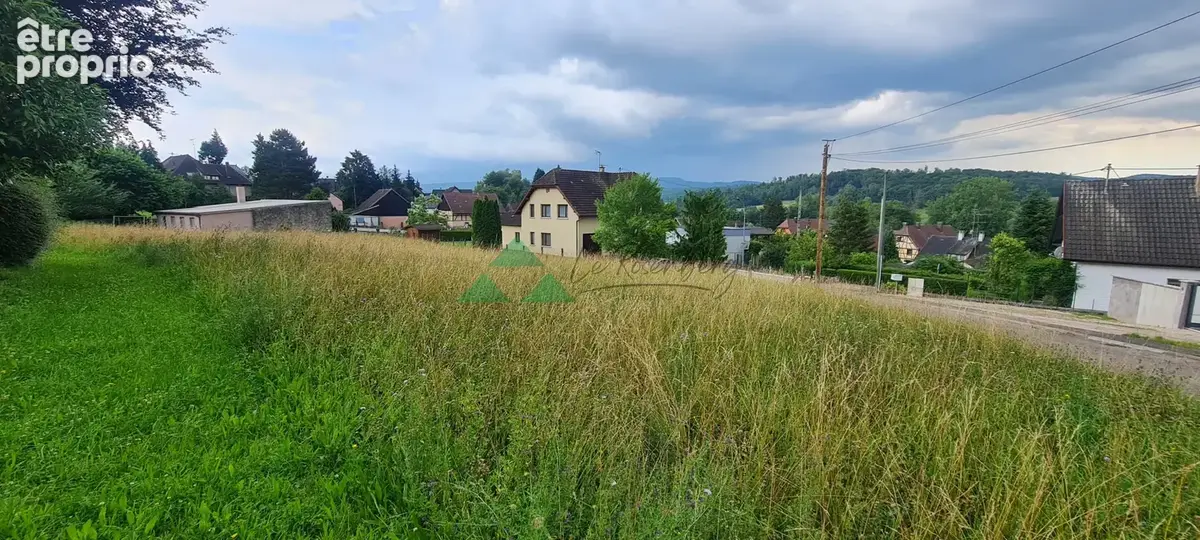 Terrain à ROPPENTZWILLER