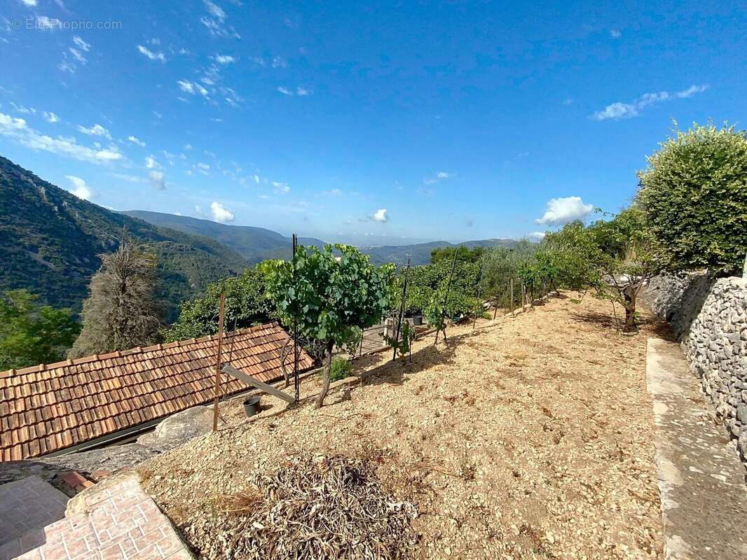 Maison peille / proche village - photo 10