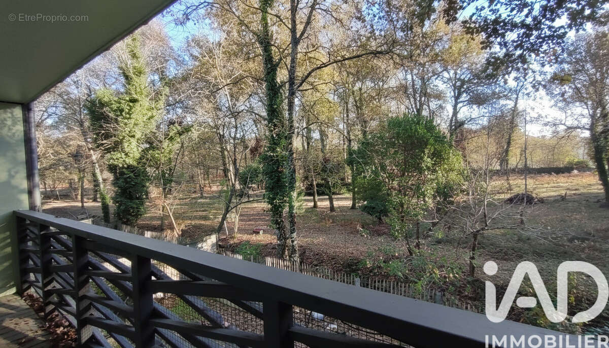 Photo 3 - Maison à ANDERNOS-LES-BAINS