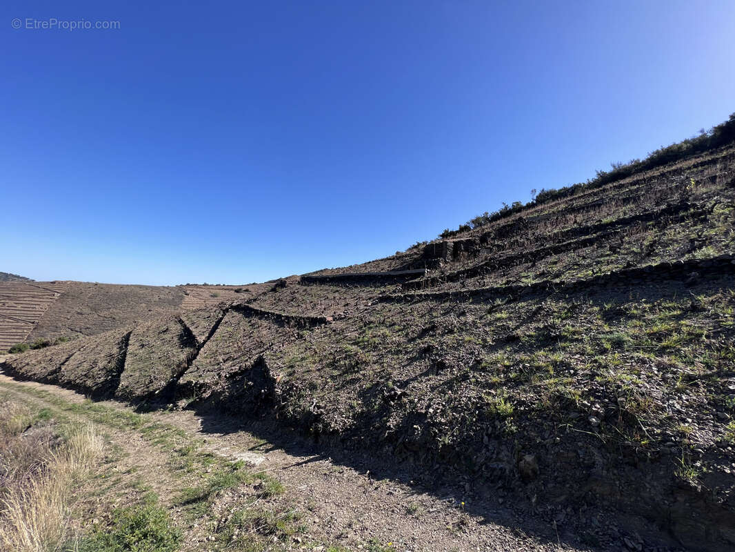 Terrain à BANYULS-SUR-MER