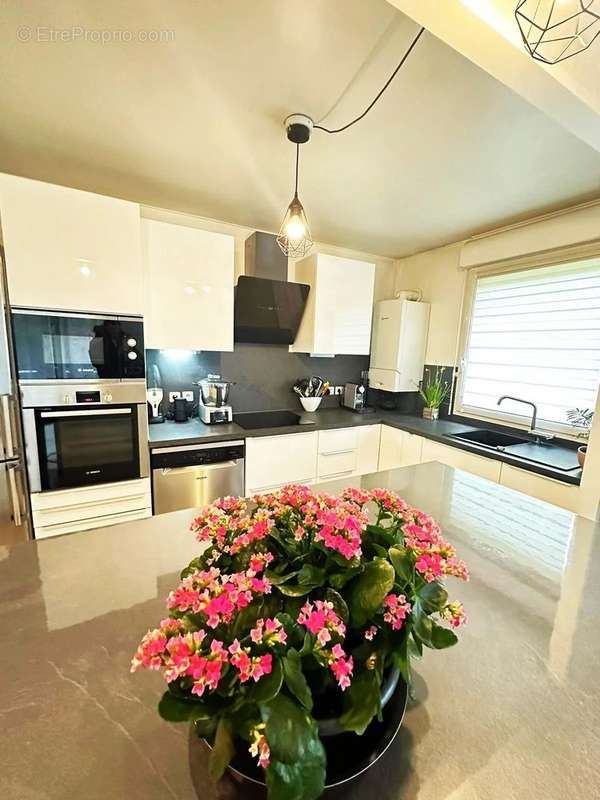 Appartement à NOISEAU