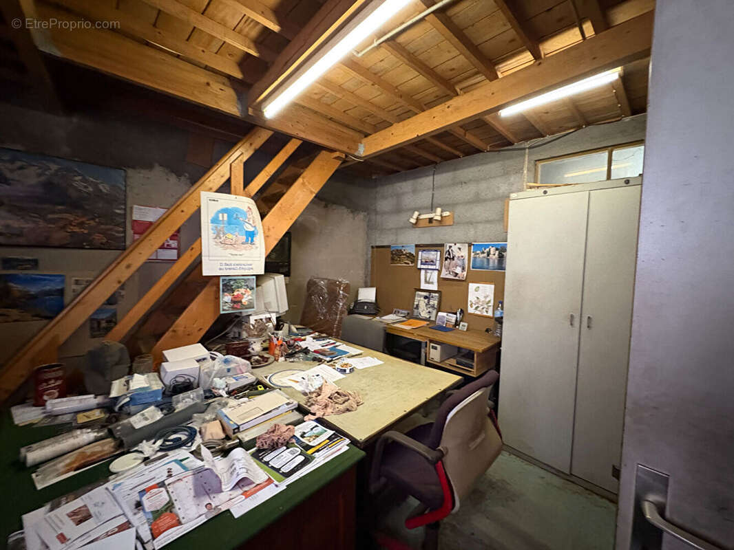 Maison 370m² à torcieu - photo 6