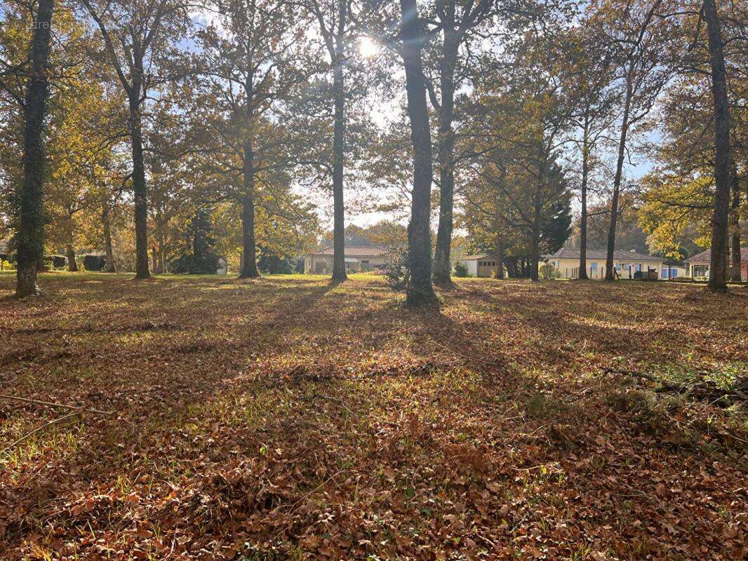 Terrain à BAZAS