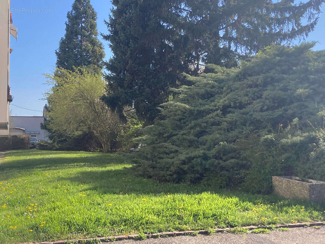 Appartement à ILLZACH