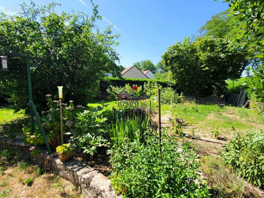 Maison à CHATENOY-LE-ROYAL