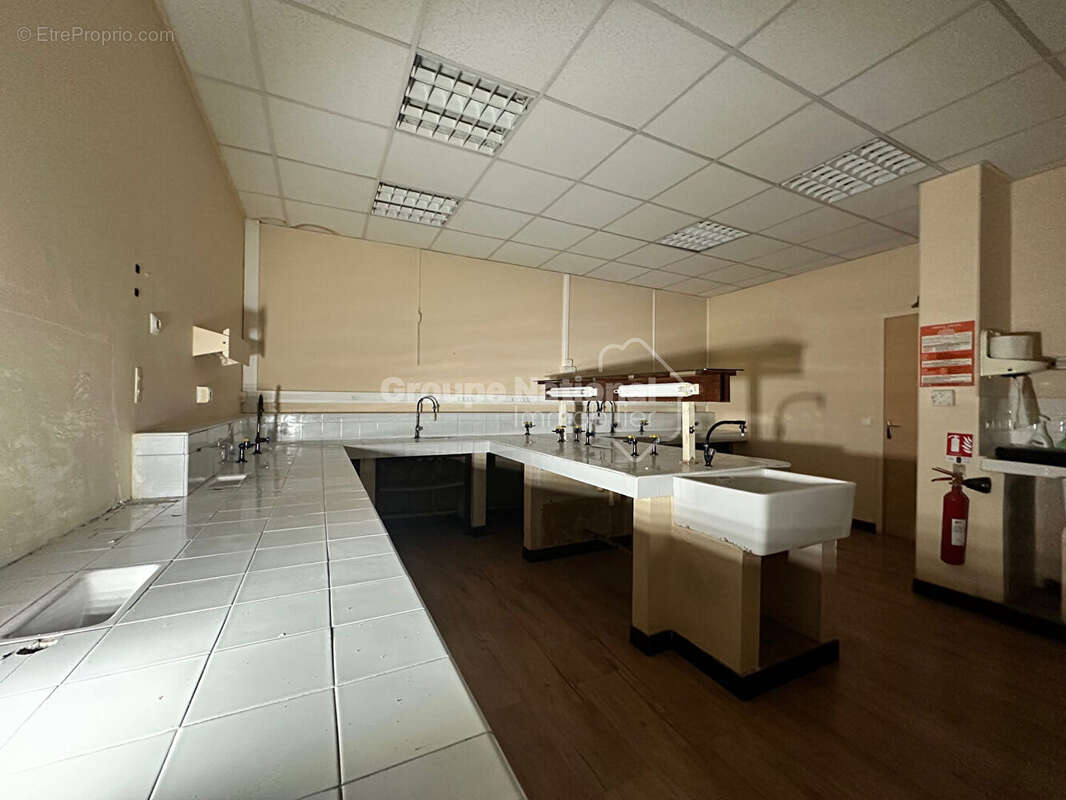 Commerce à VERSAILLES