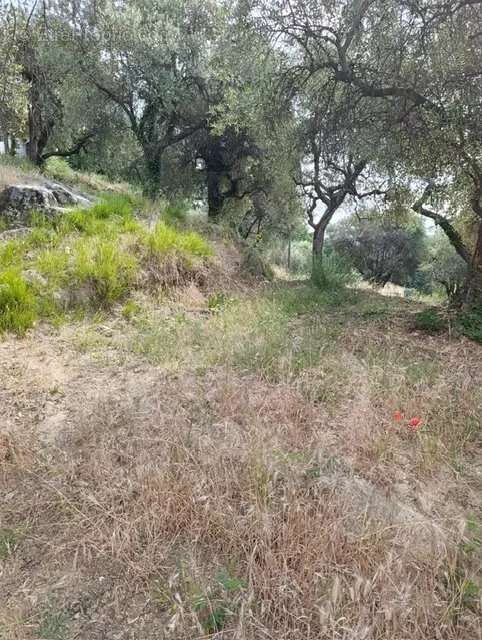 Terrain à COARAZE