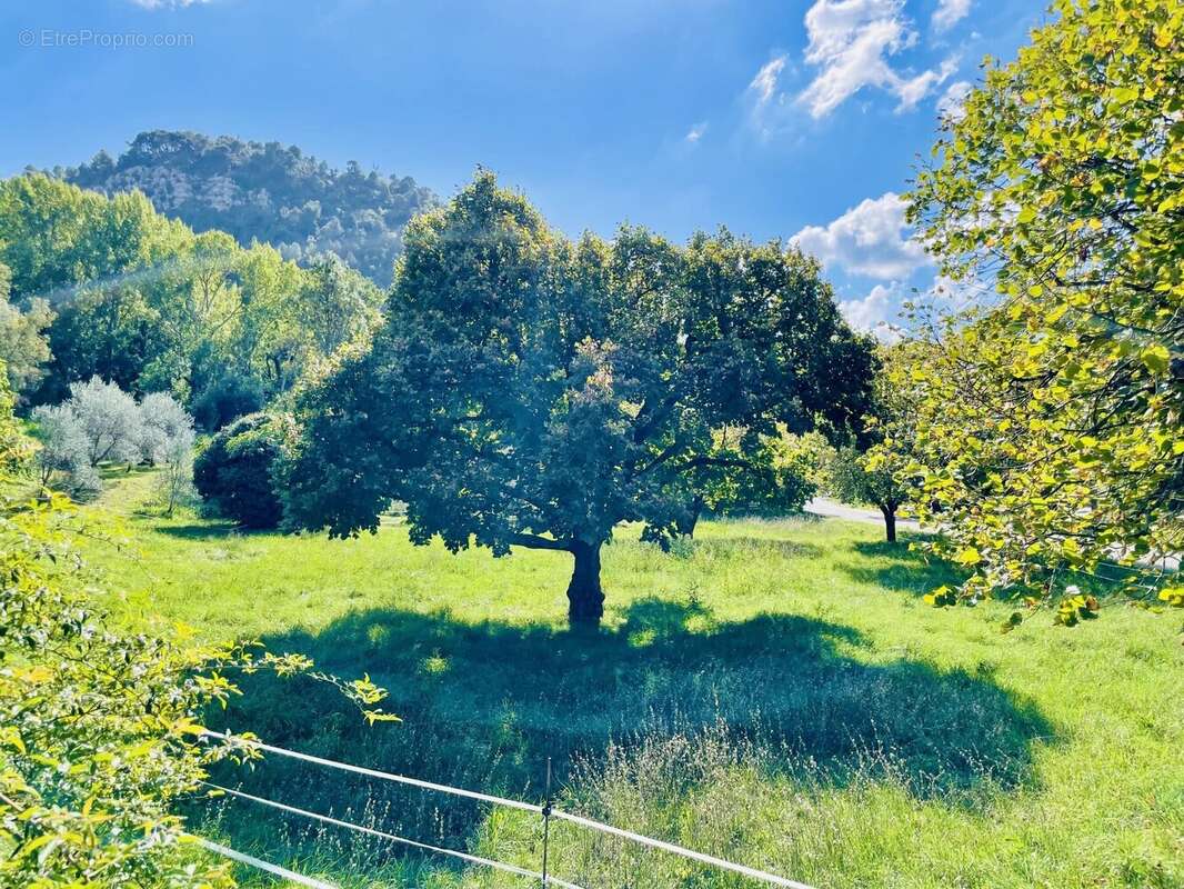 Terrain à BUIS-LES-BARONNIES