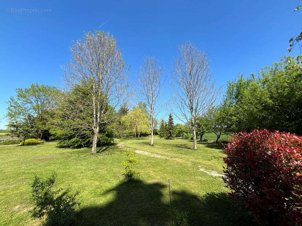 Maison à FONTAINEBLEAU
