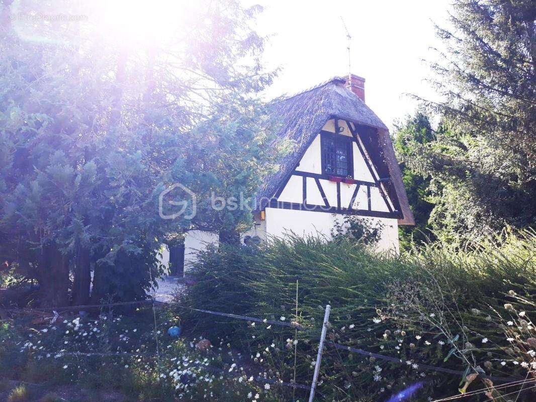 Maison à CHATENAY-SUR-SEINE