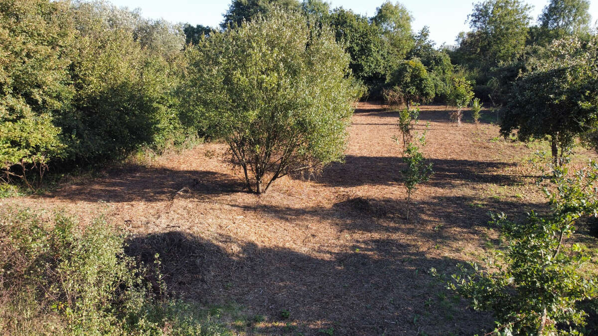 Maison à MOON-SUR-ELLE