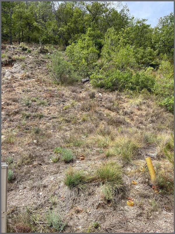 Photo 1 - Terrain à VINS-SUR-CARAMY