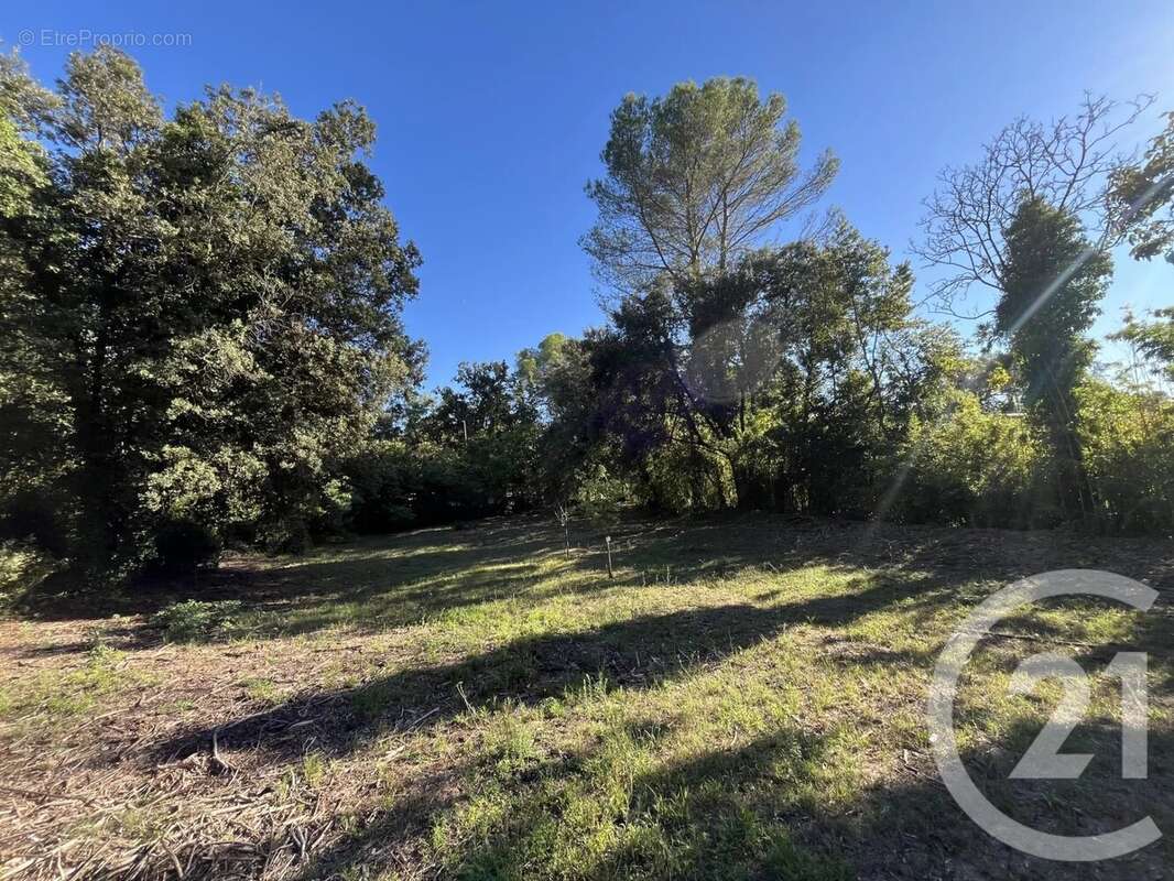 Terrain à ROQUEFORT-LES-PINS