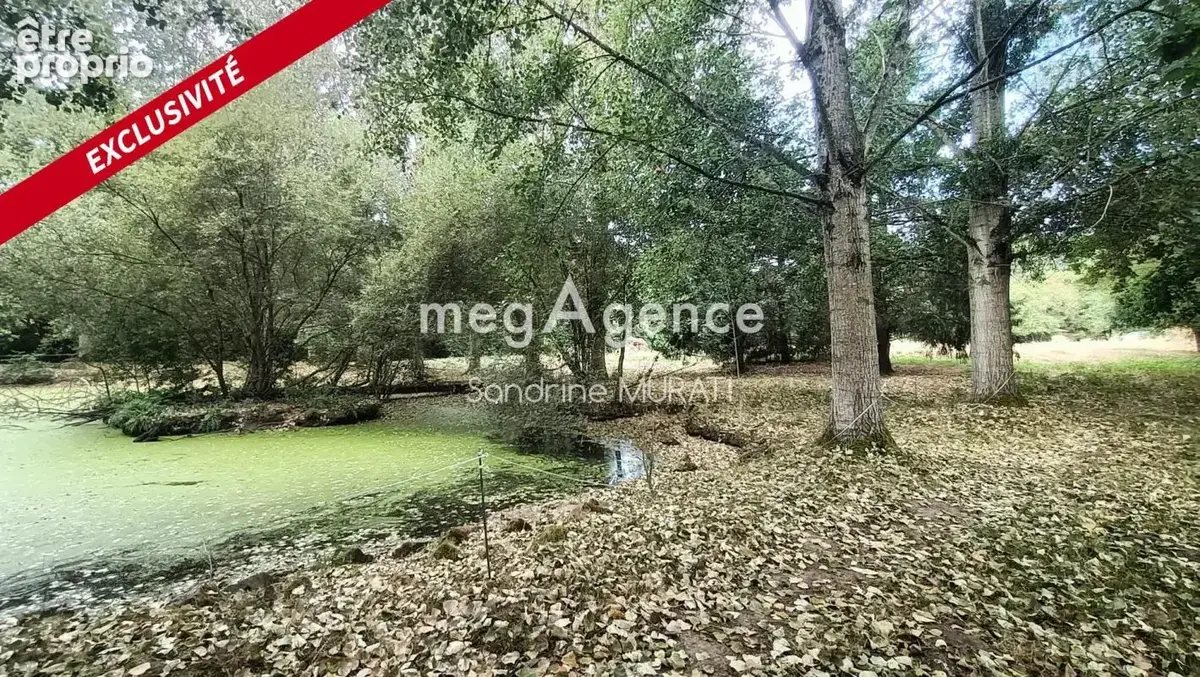 Terrain de loisir - les rives d'andaines - photo 3