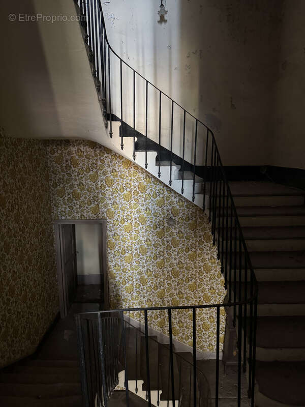 Maison à SAINT-ANDRE-DE-SANGONIS