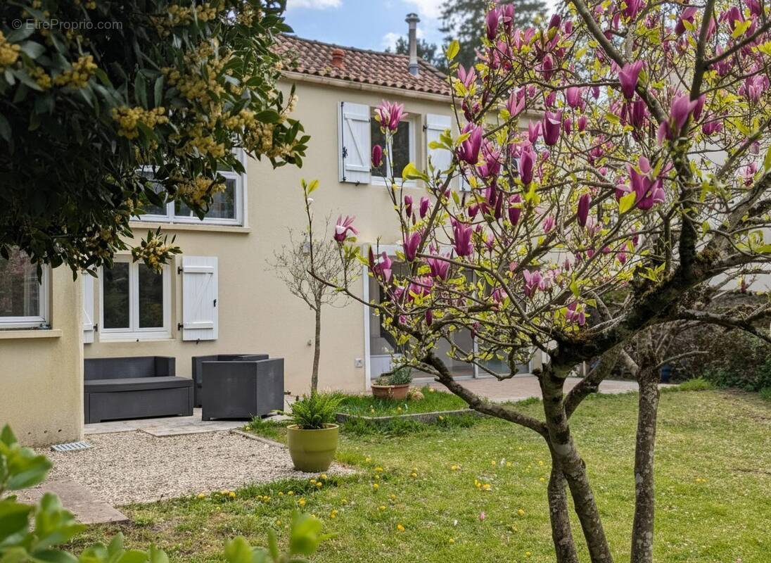 La façade arrière - Maison à VERTOU