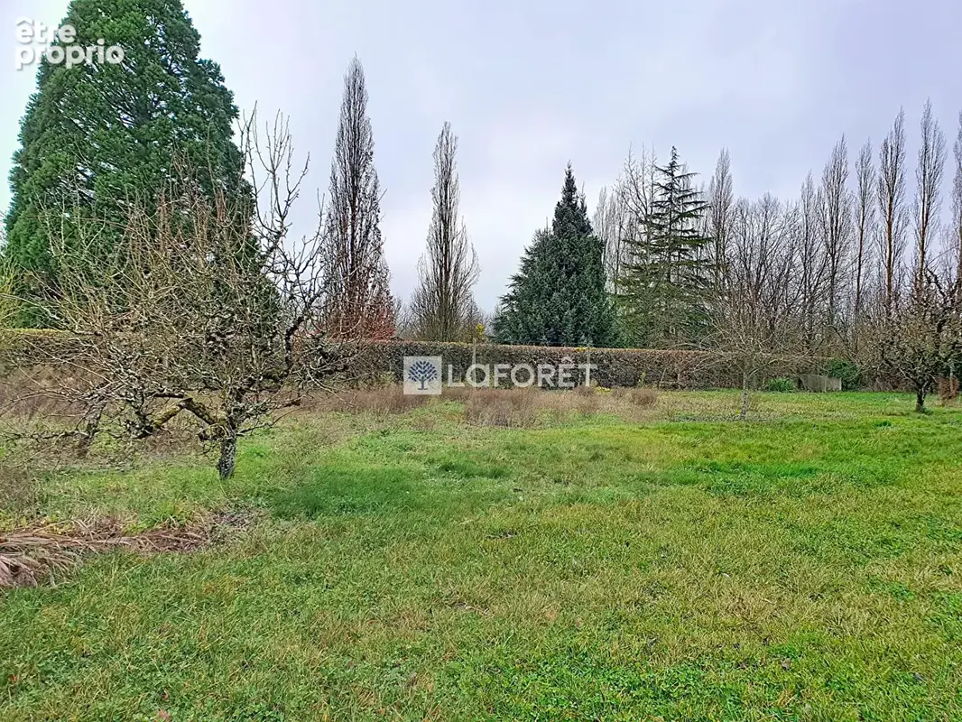 Terrain constructible - viabilisé - Saint Pardoux Soutiers - photo 10