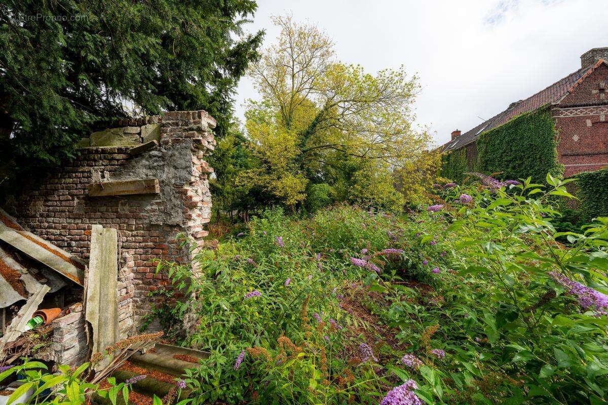 Maison à FLERS-EN-ESCREBIEUX