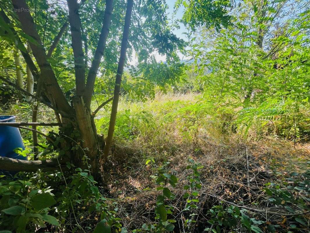 Terrain à CORNEILLA-DE-CONFLENT