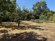 Terrain à SAINT-LAURENT-DE-LA-PREE