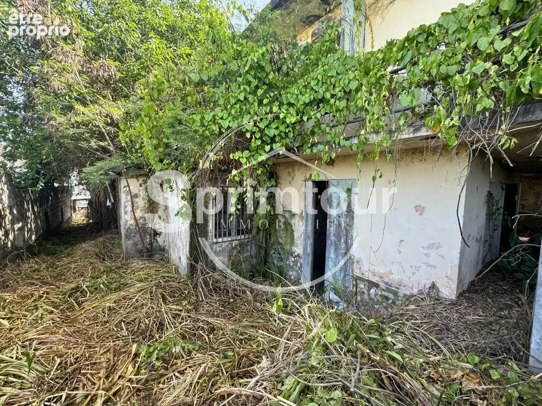 À vendre   Terrain constructible de 2999 m2 à Basse-Terre - photo 5