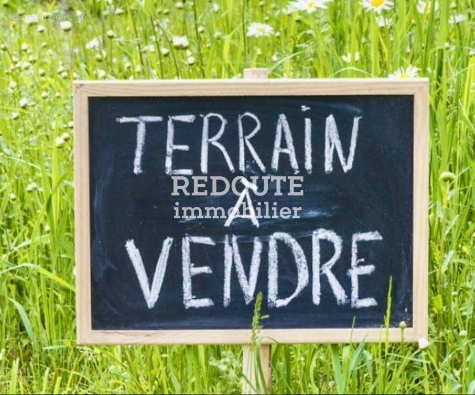 Terrain à BEAUMONT-SUR-VESLE