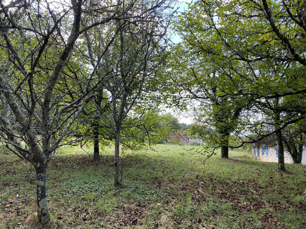 Maison à CHAMPAGNAC-DE-BELAIR