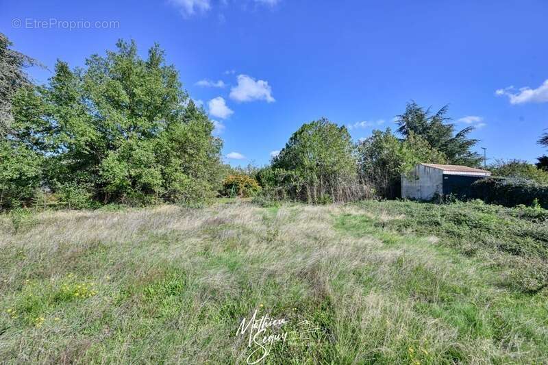 Terrain à POLLIONNAY