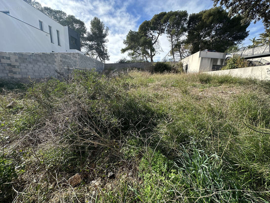 Terrain à FRONTIGNAN