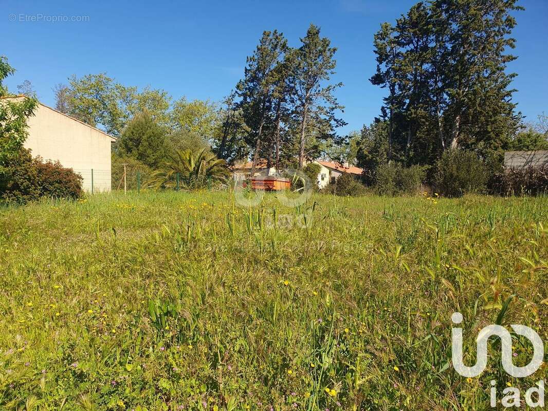 Photo 3 - Terrain à CANET