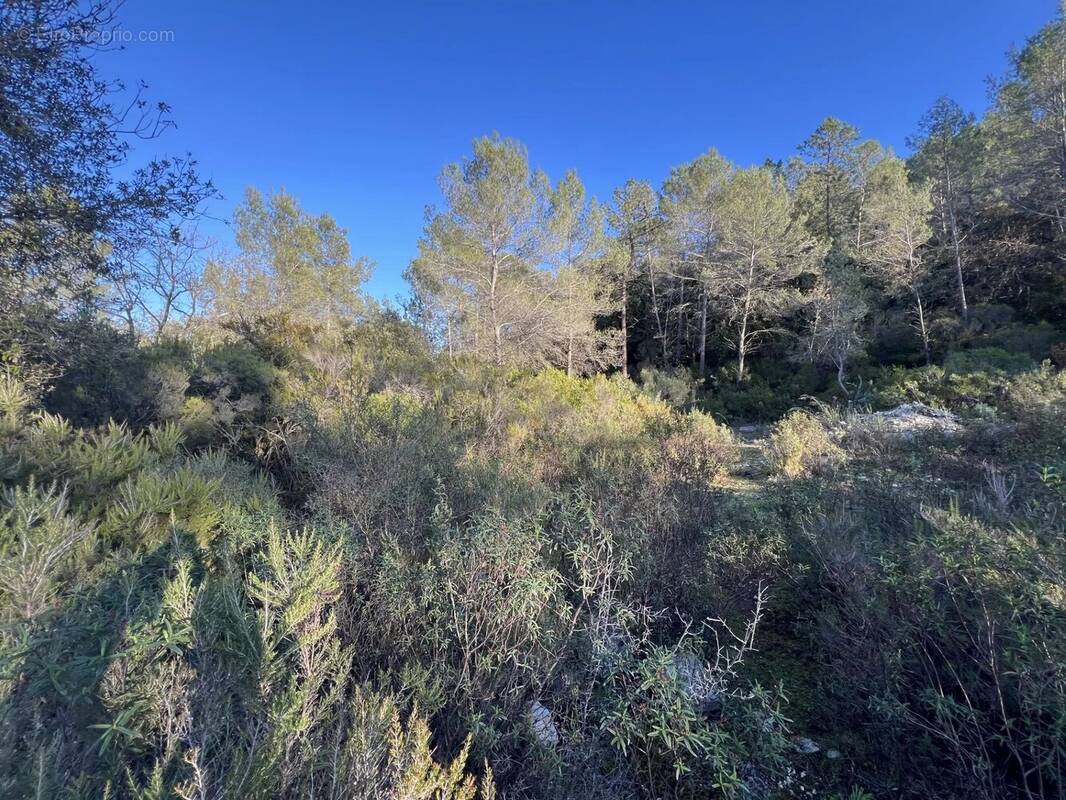 Terrain à ROQUEFORT-LES-PINS