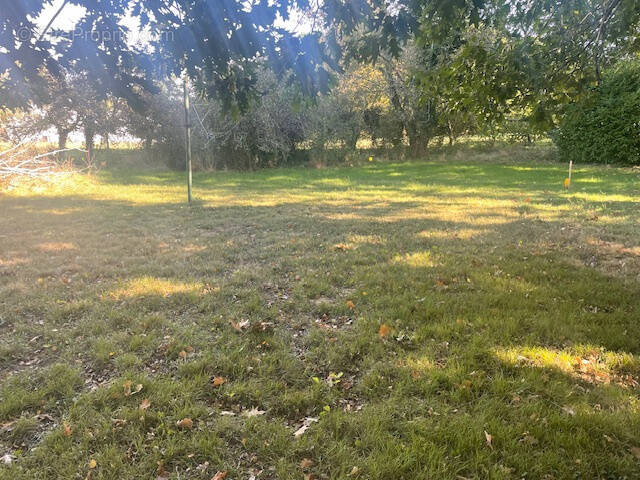 Terrain à CAMBLANES-ET-MEYNAC